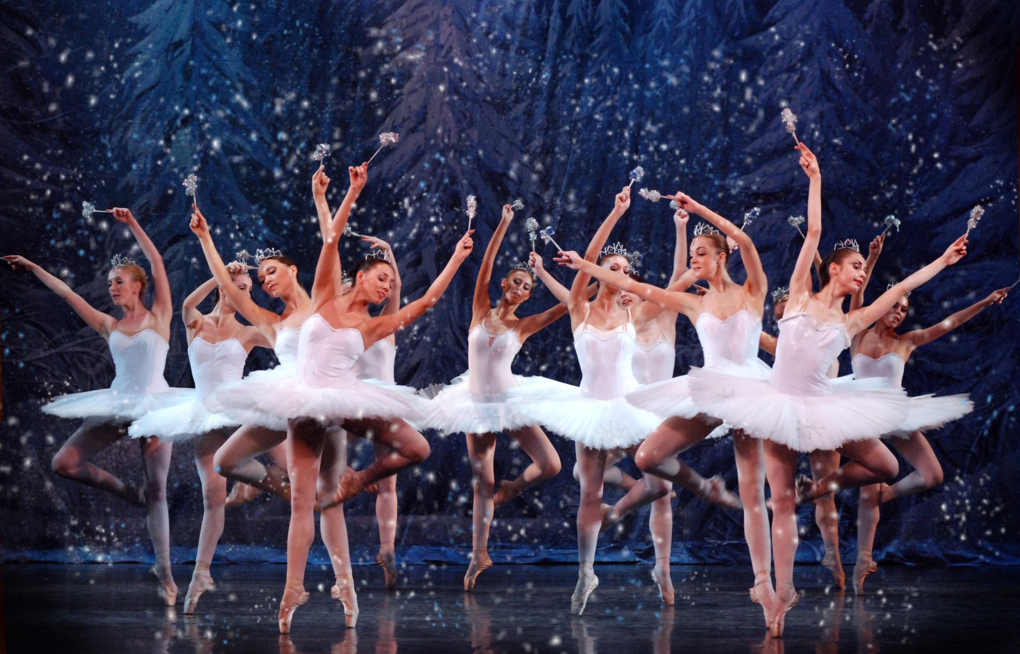 Балета «русский балет» «семь красавиц»