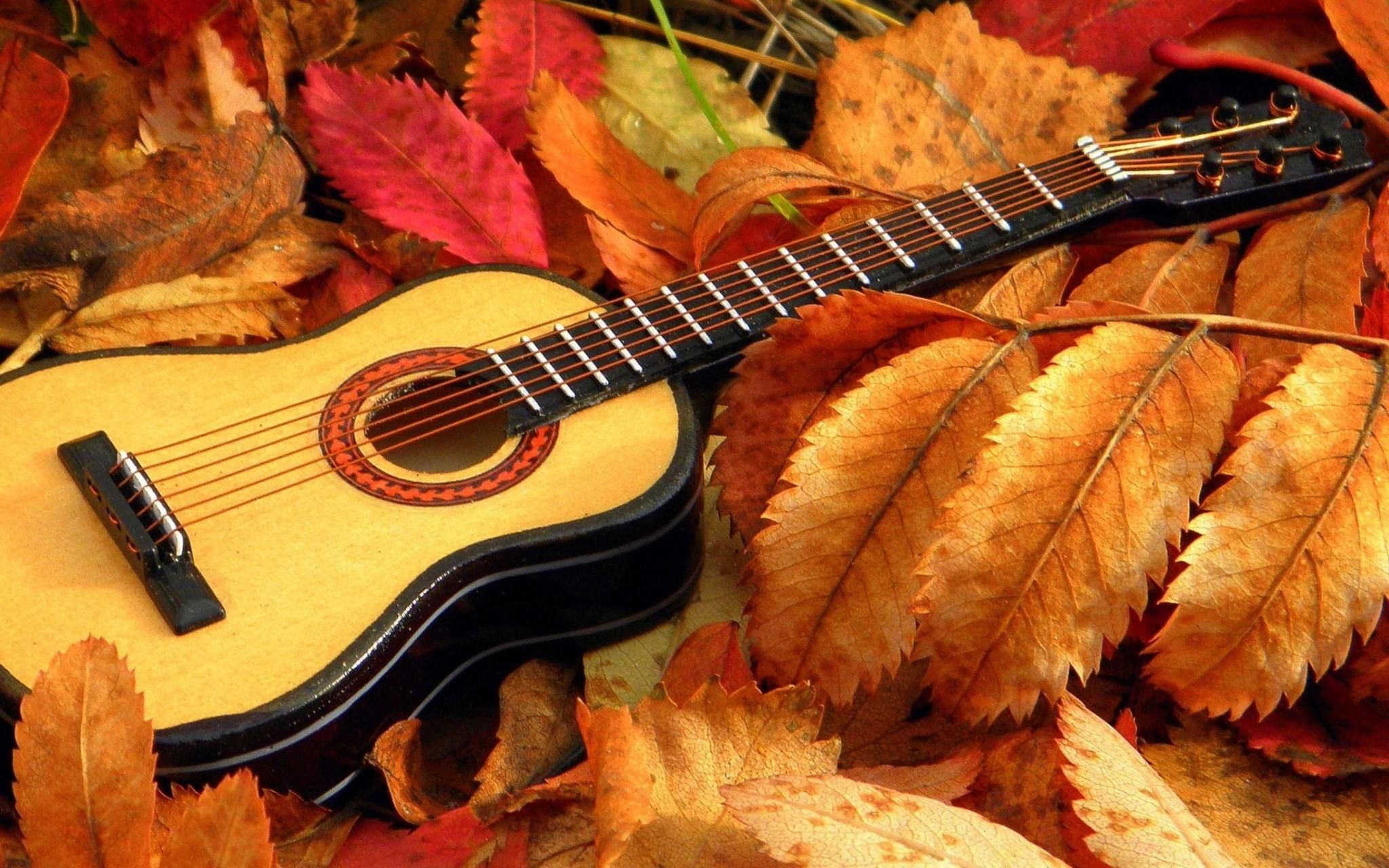 Гитара в осенней листве