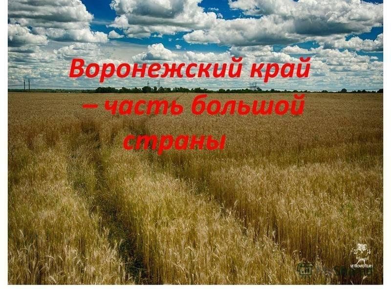 Проект родной город воронеж 2 класс: найдено 75 картинок