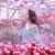 314 тюльпанов подарит посетительницам 8 Марта «Аптекарский огород»