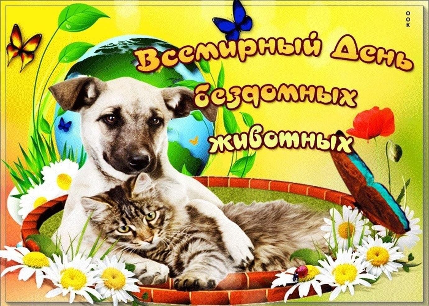 День животных картинки скачать бесплатно