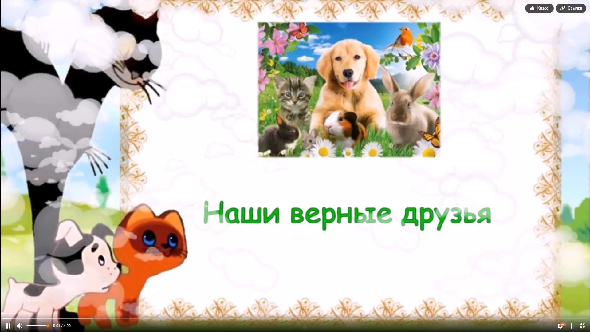 Проект наши друзья животные