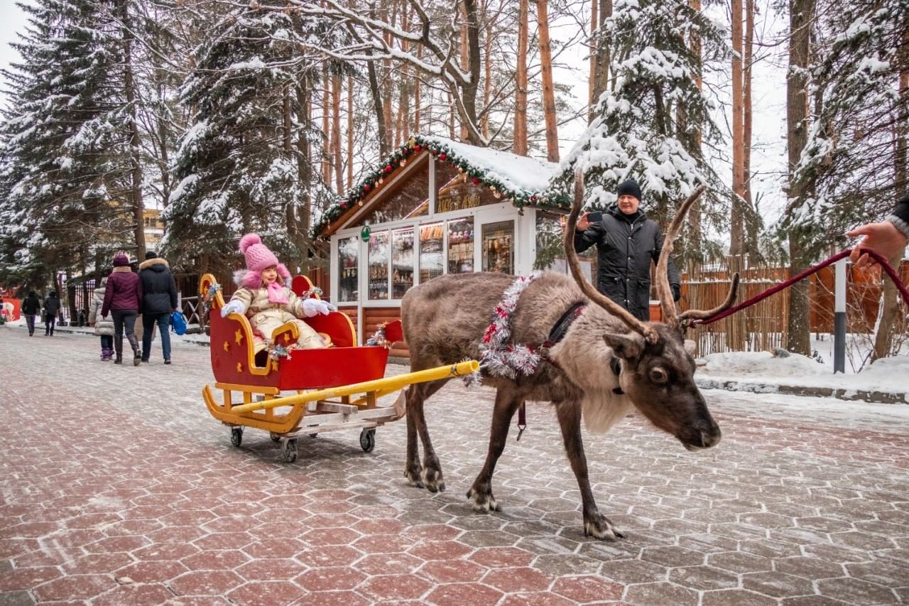 елочки домодедово отдых