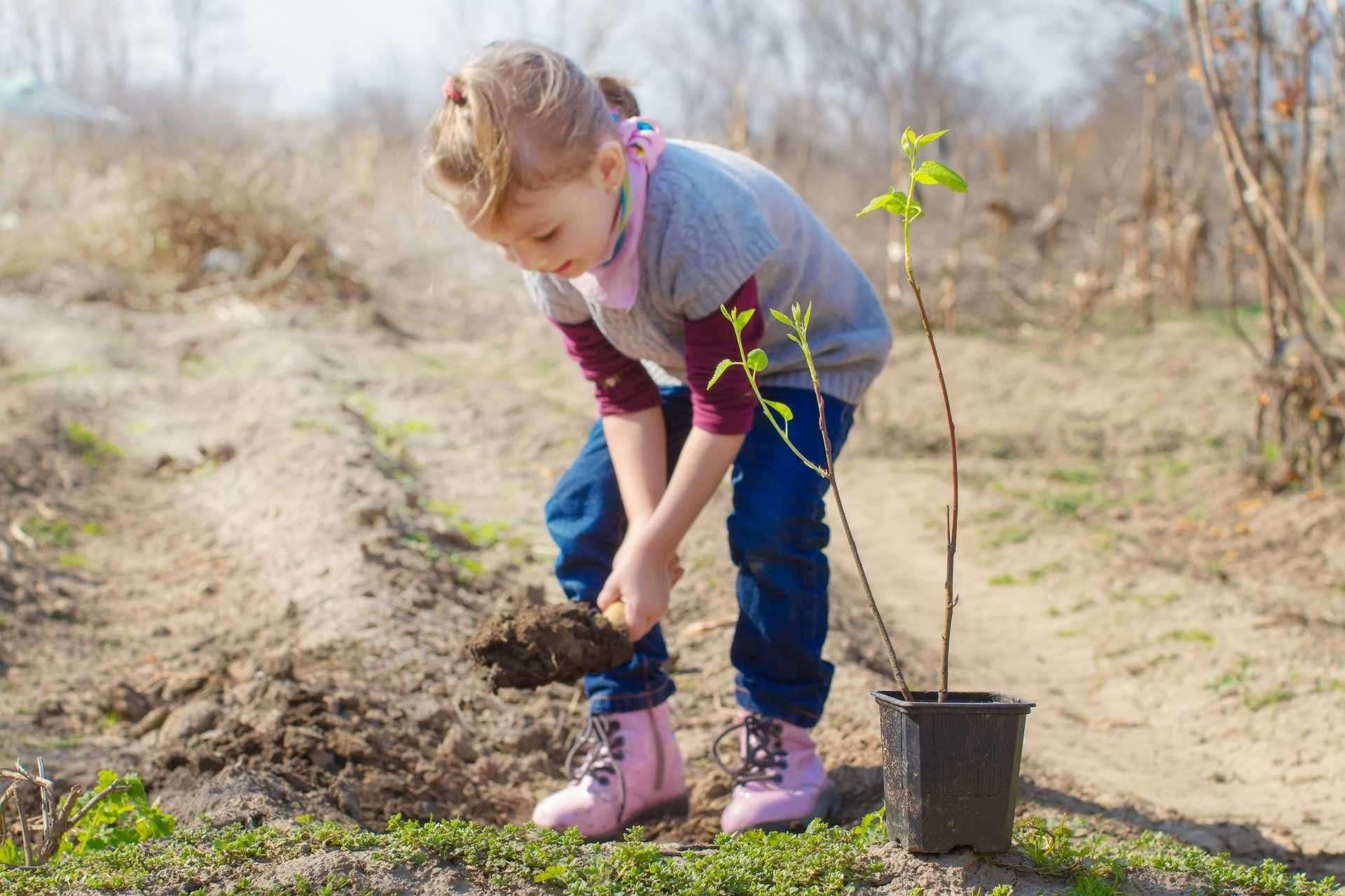 Посадить дерево метров. Сажать деревья. Труд детей в природе. Высадка деревьев. Труд в саду.