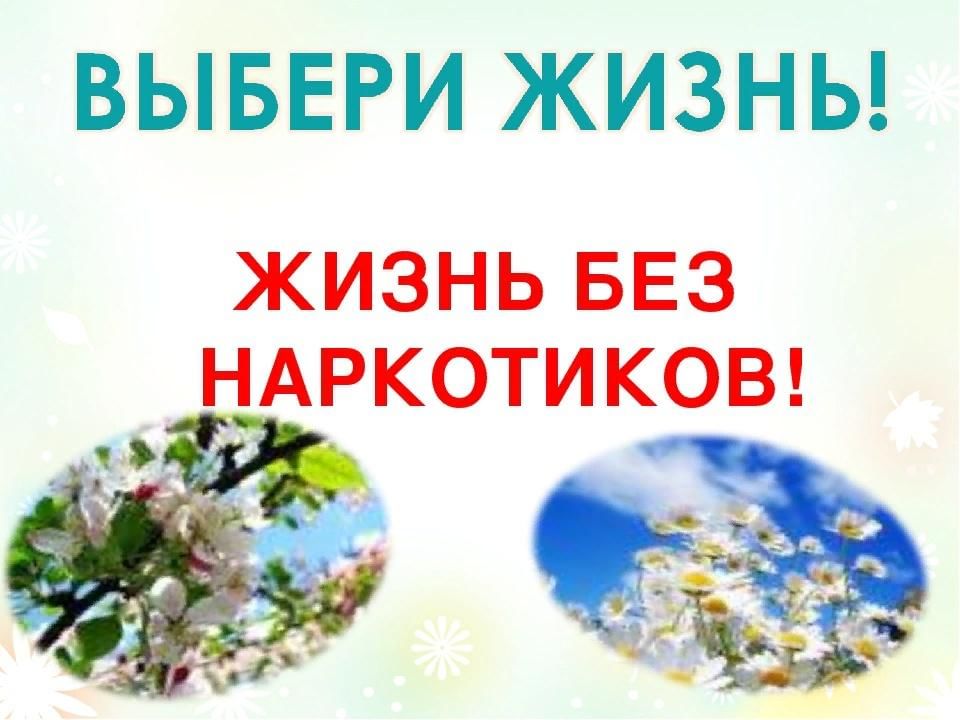 Жизнь без наркотиков план мероприятий