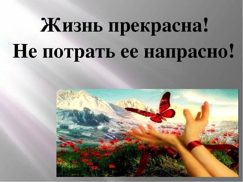 Проект я люблю жизнь