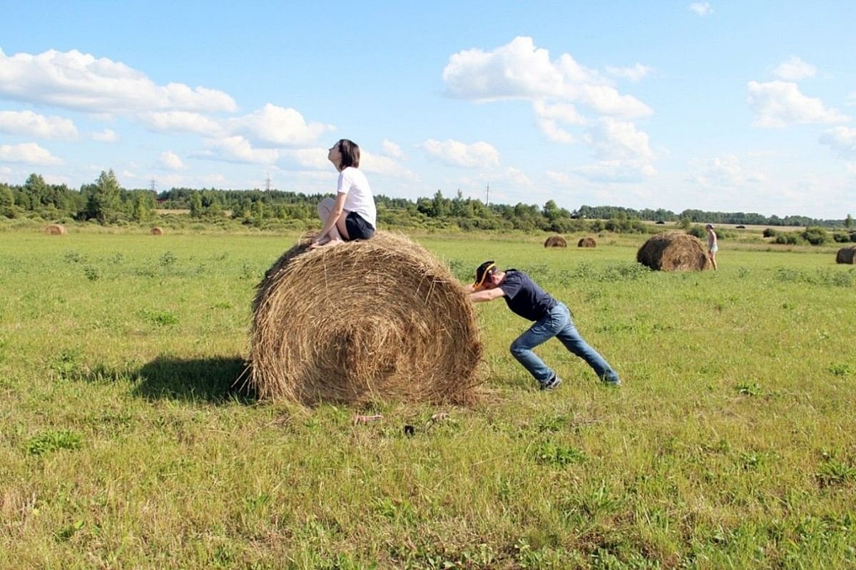 Фото с сеном на поле