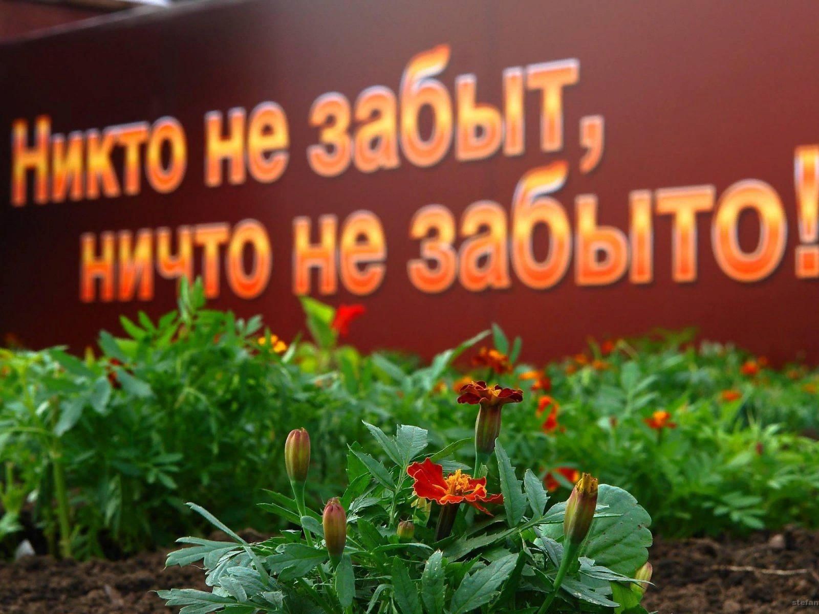 Картинка никто не забыт ничто не