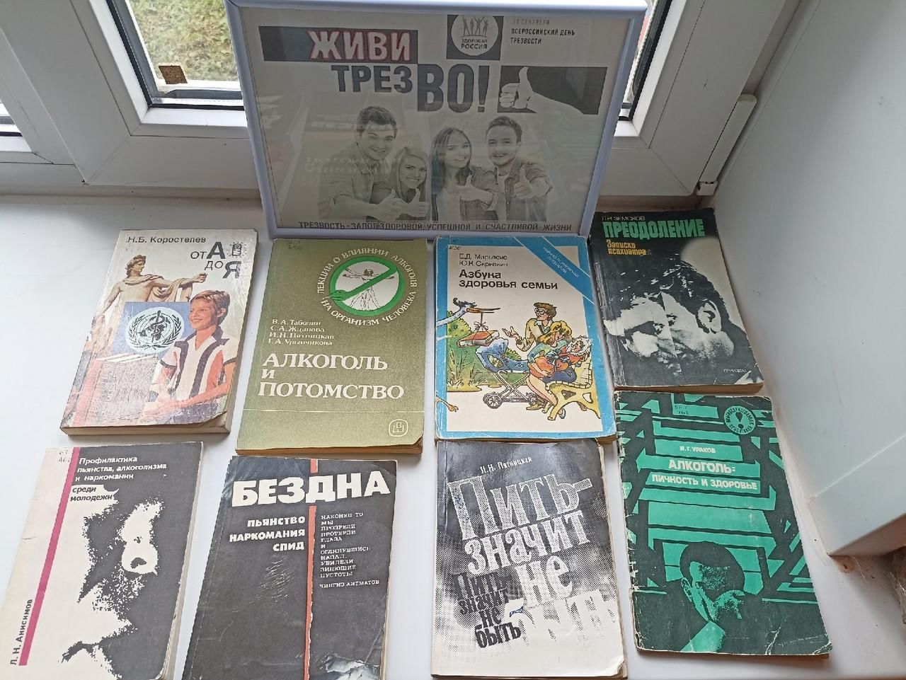 Выставка жить. Жить трезвыми книга.