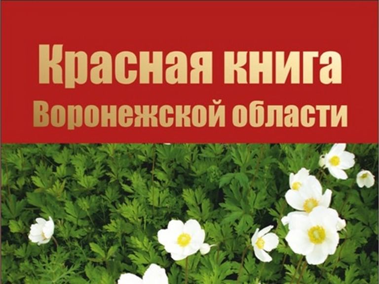 Красная книга воронежской области животные и растения фото и описание