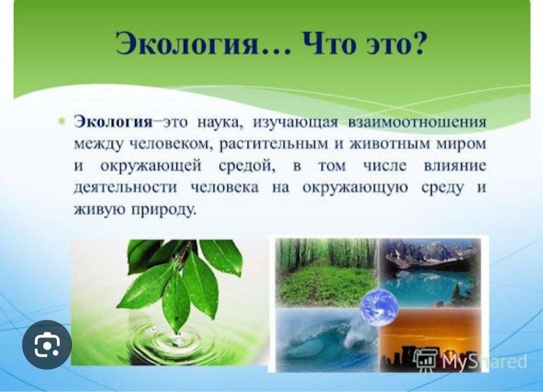 Что дает нам экология? » 2024, Буинский район — дата и место проведения,  программа мероприятия.