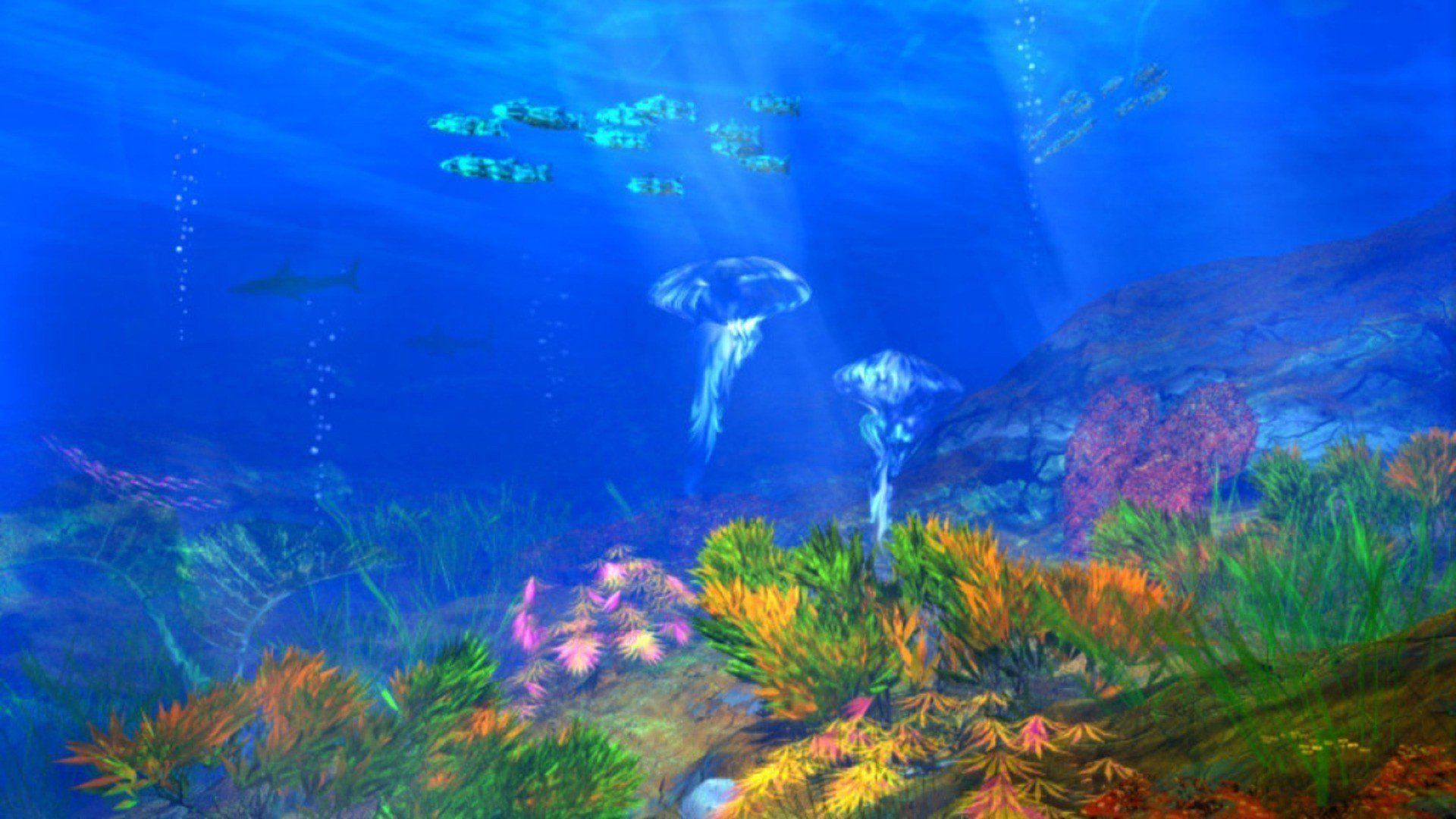 Wallpaper tropical, coral, reef, underwater, ocean, fishes, underwater ... Coral