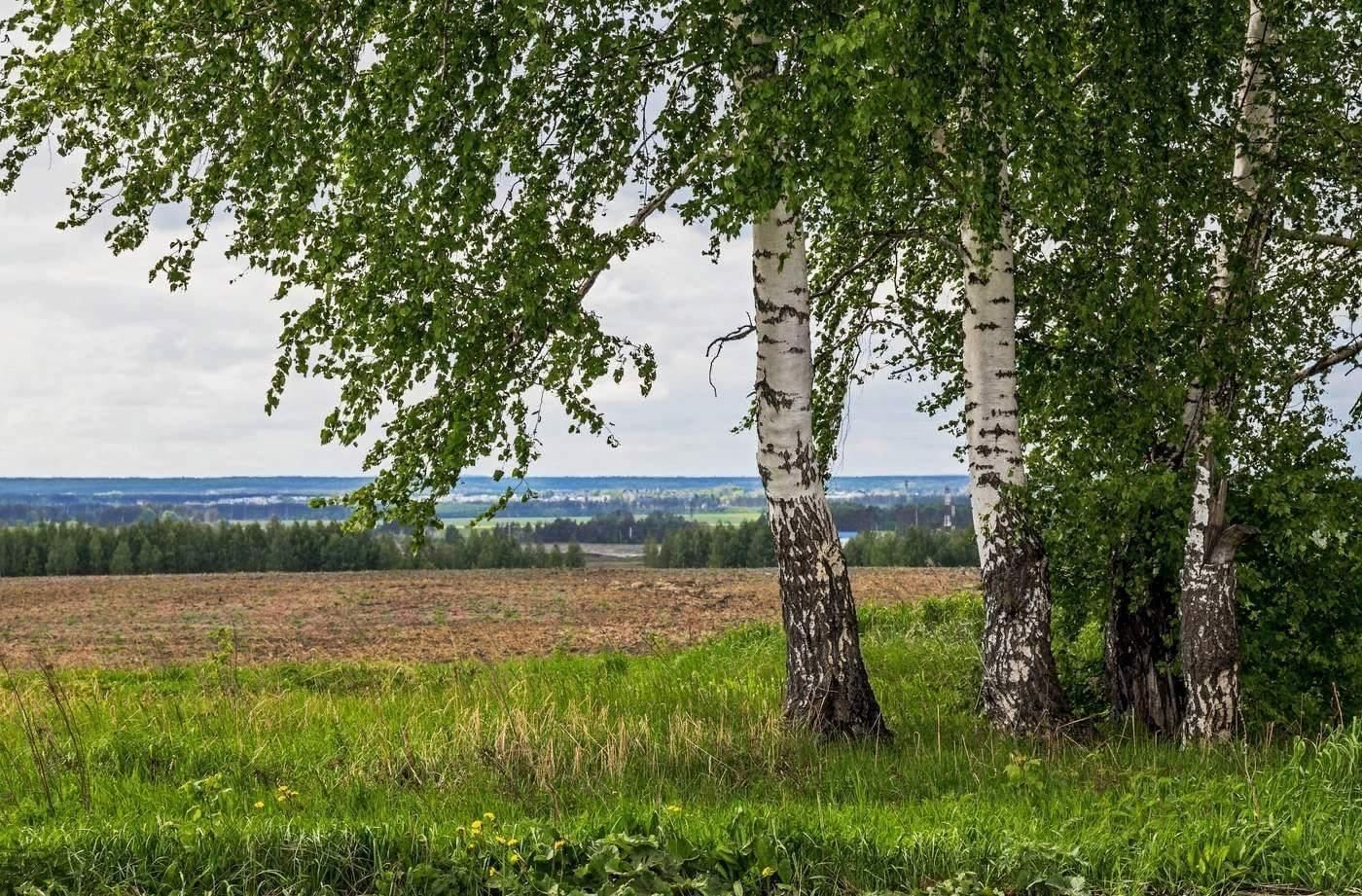 Родной край сколько. Природа , Республика Татарстан (Татарстан). Природа Лаишевского района Татарстана. Лаишевский район природа. Нижняя Кама Елабуга.