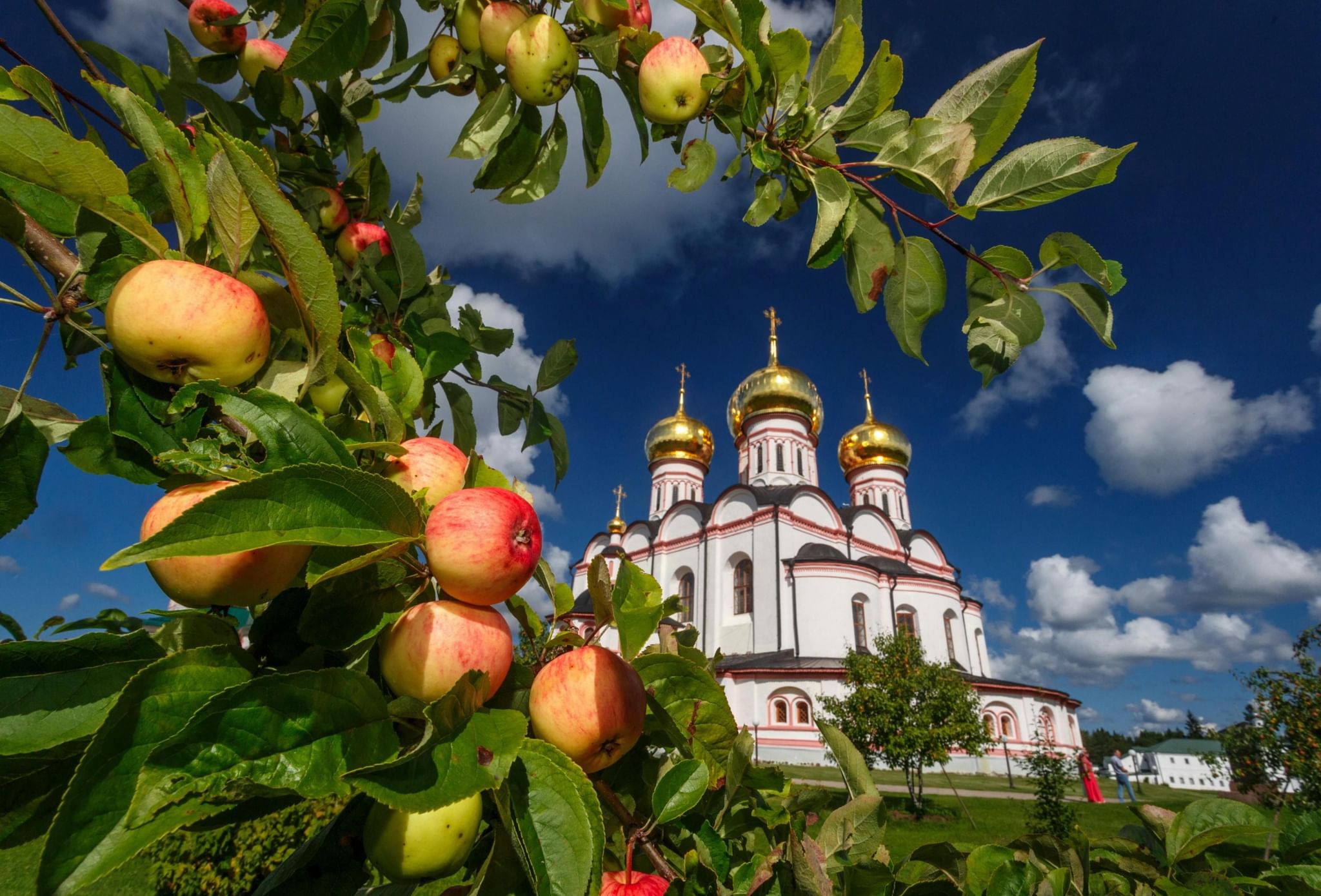 Яблочный спас пуля. Преображение Господне 2022. Яблони Валдайский монастырь. Яблочный спас. Храм в яблонях.