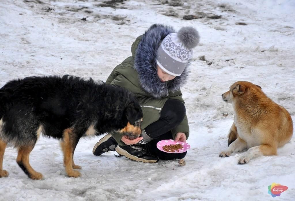 Картинки люди помогают животным
