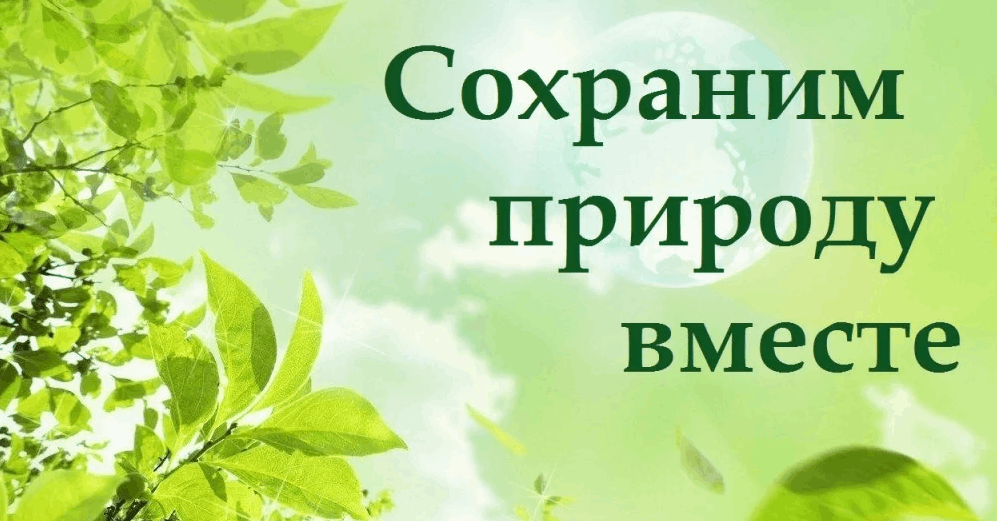 Сохраним природу вместе проект