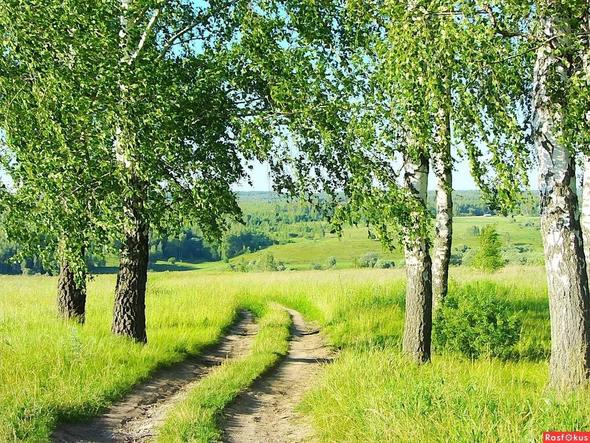 Русские просторы. Родные просторы России. Просторы пейзаж родные просторы. Родные просторы Русь. Родные просторы природа России.