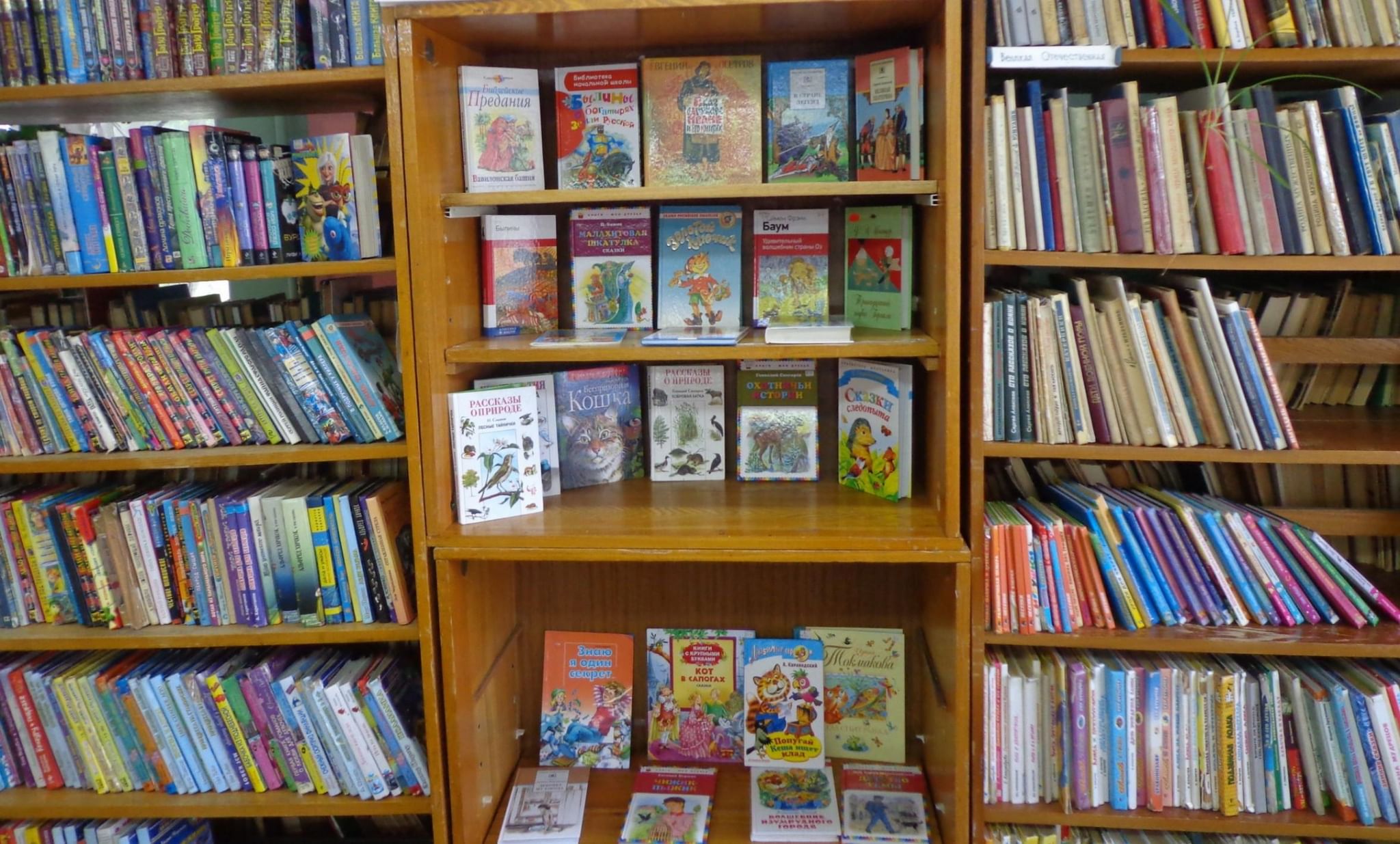Книжная выставка для детей в библиотеке
