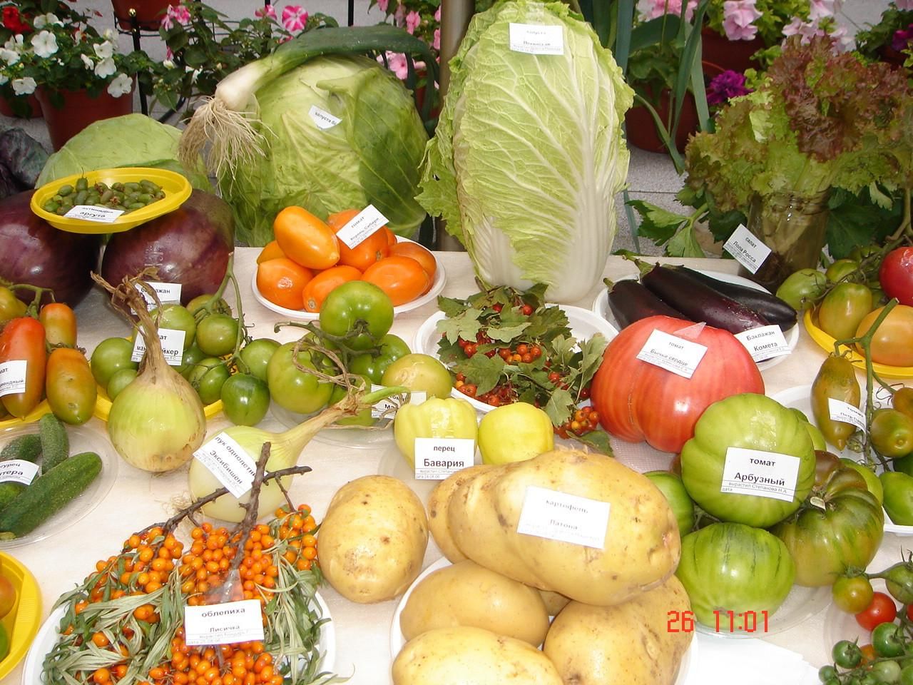 Название овощной выставки