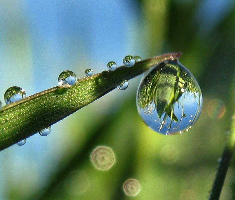 Фото капельки воды