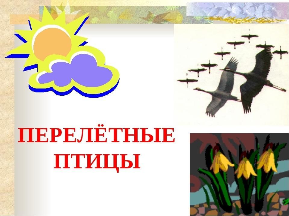 Проект перелетные птицы средняя группа