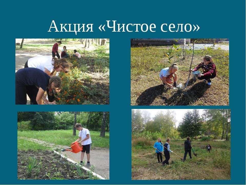 Создай окружающий. Акция чистое село. Экологическая акция чистое село. Экологический волонтерский проект. Экологический проект чистое село.