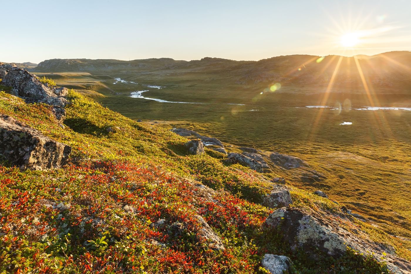 Летняя тундра фото