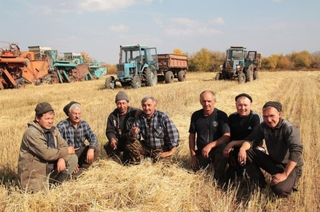 В 2012 году на основных хлебородных. Колхоз имени Ленина Белгородская область Красноярский район. СХП Нива Агро. Колхоз им Калинина Новоузенский район Саратовская. Колхоз имени Ленина Нехаевский район.