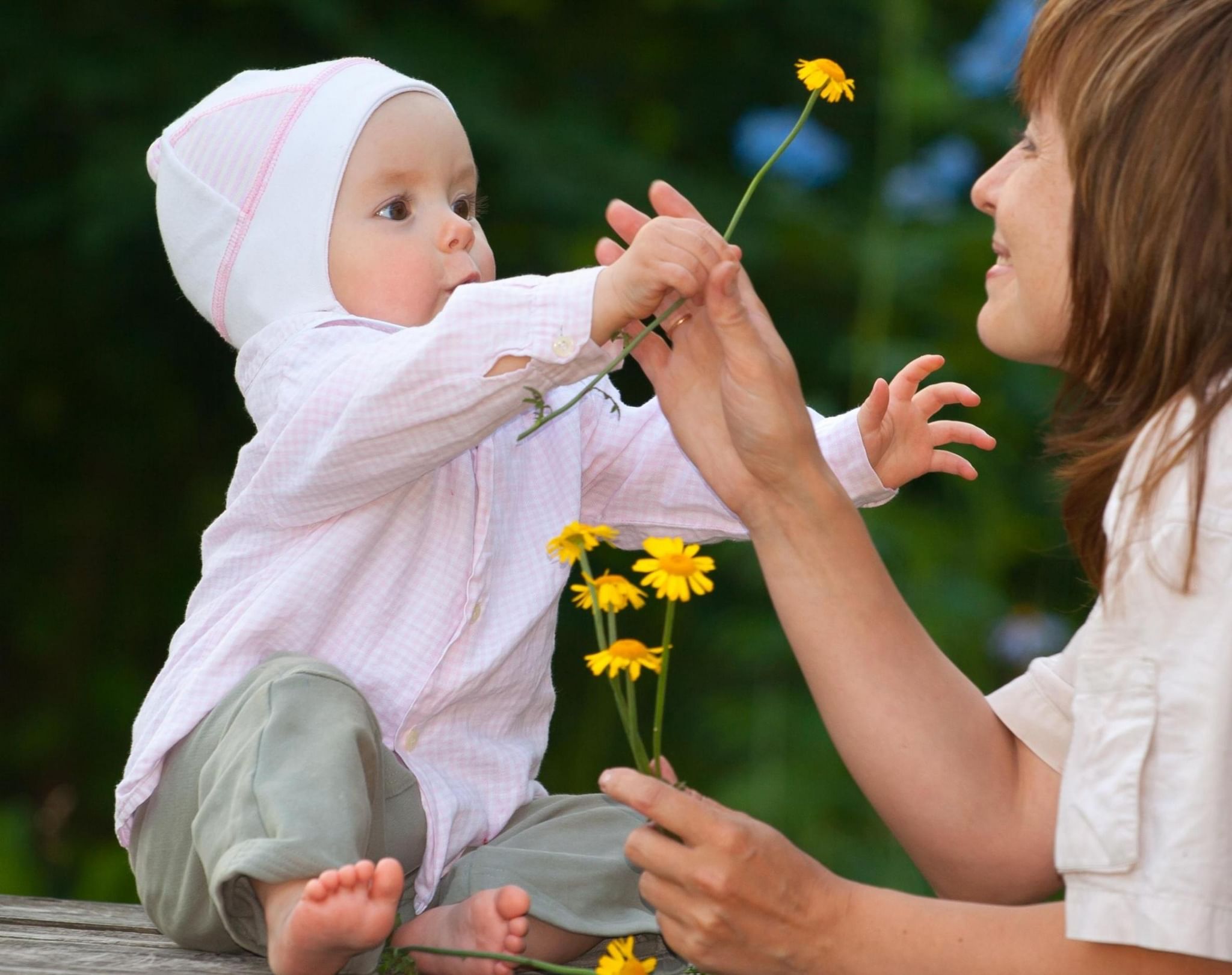 Малыш дарит маме цветы