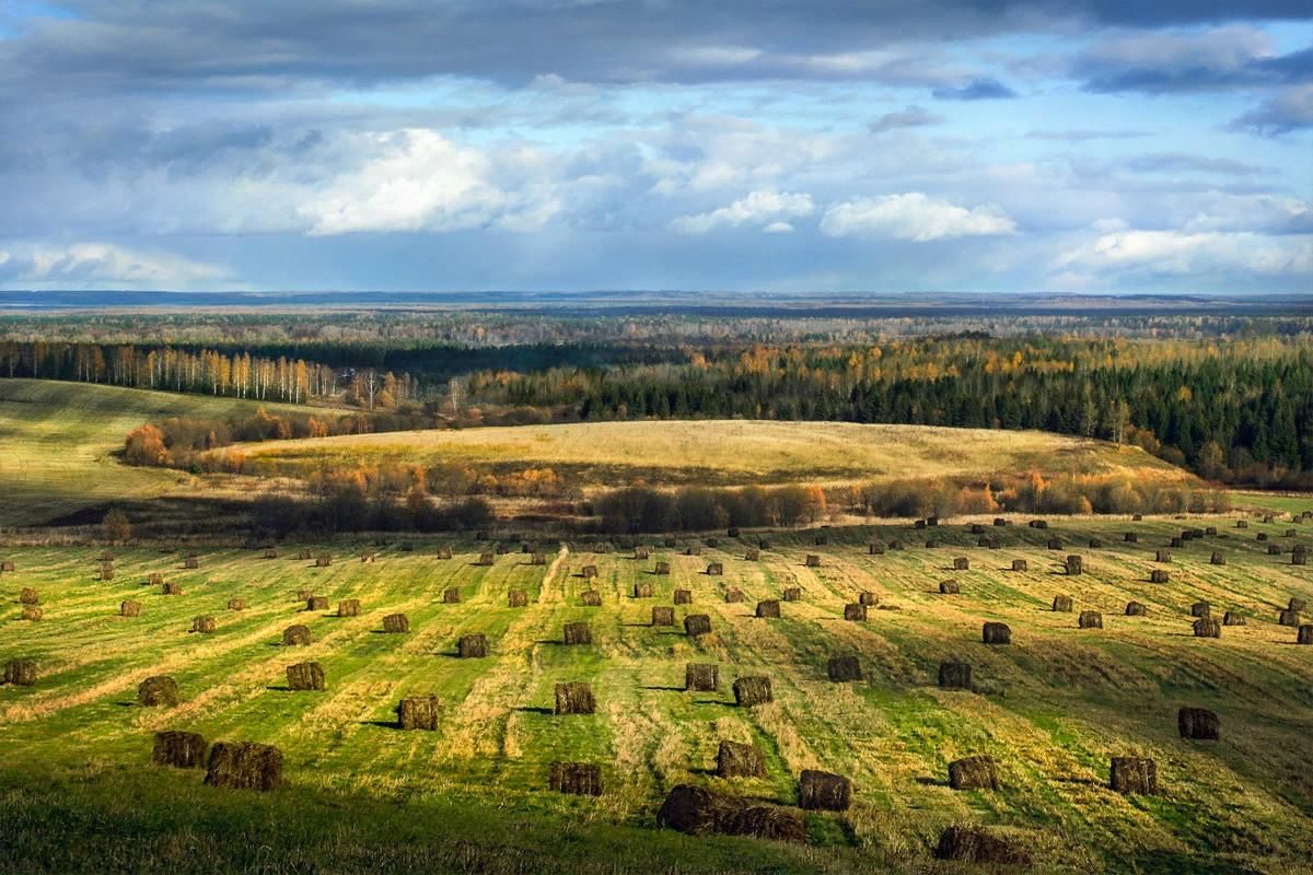 Ландшафт европейской части россии