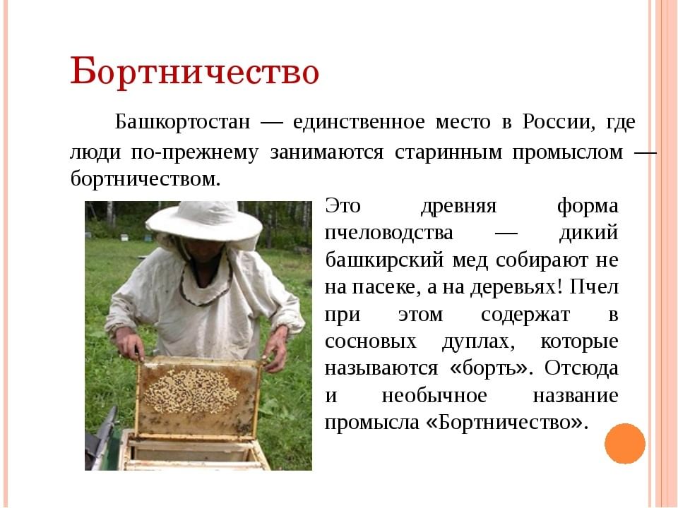Презентация на тему бортничество