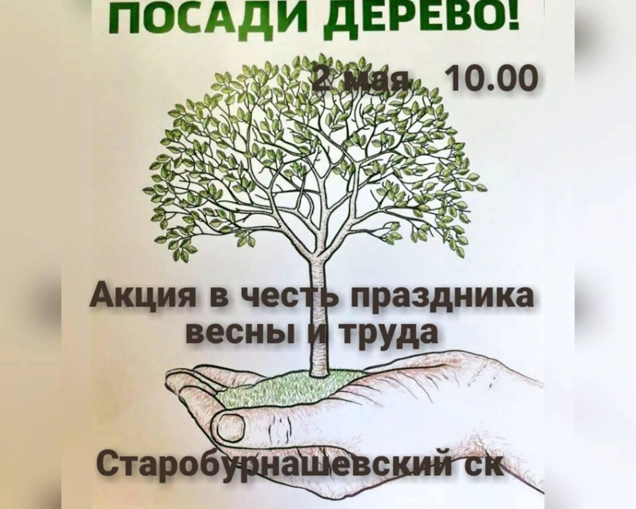 Акция «Посади дерево» в честь праздника весны и труда. 2023, Апастовский  район — дата и место проведения, программа мероприятия.