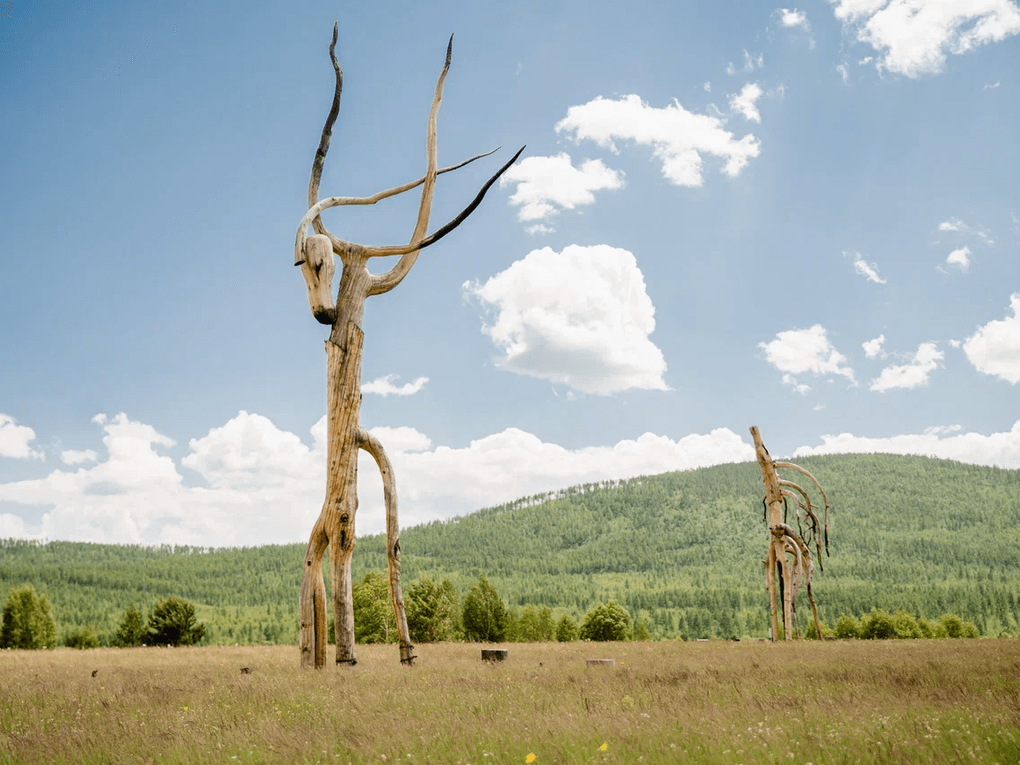 Фотография предоставлена организаторами