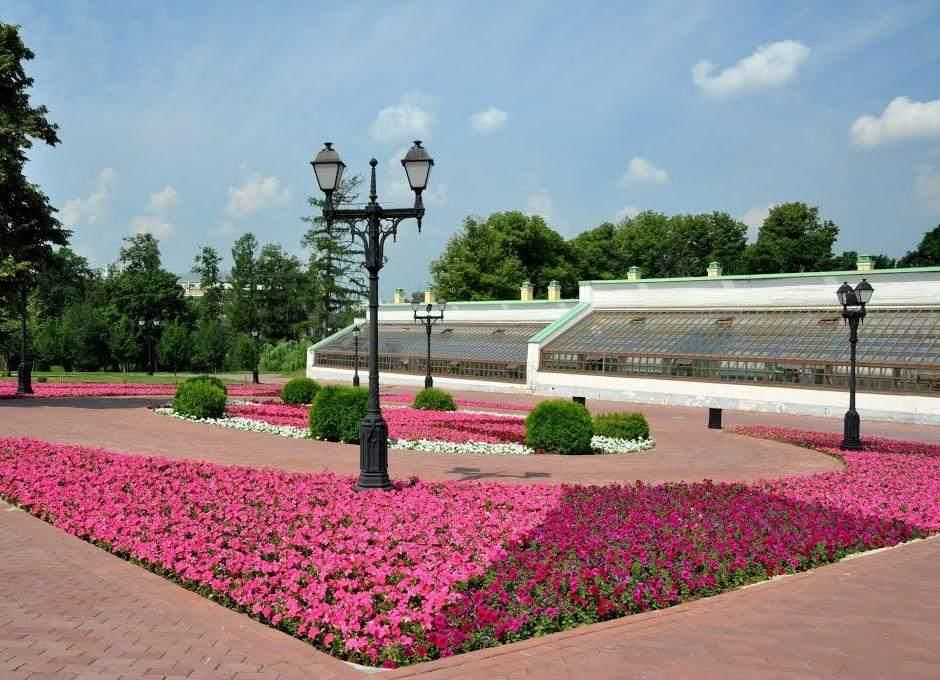 Оранжереи в царицыно фото