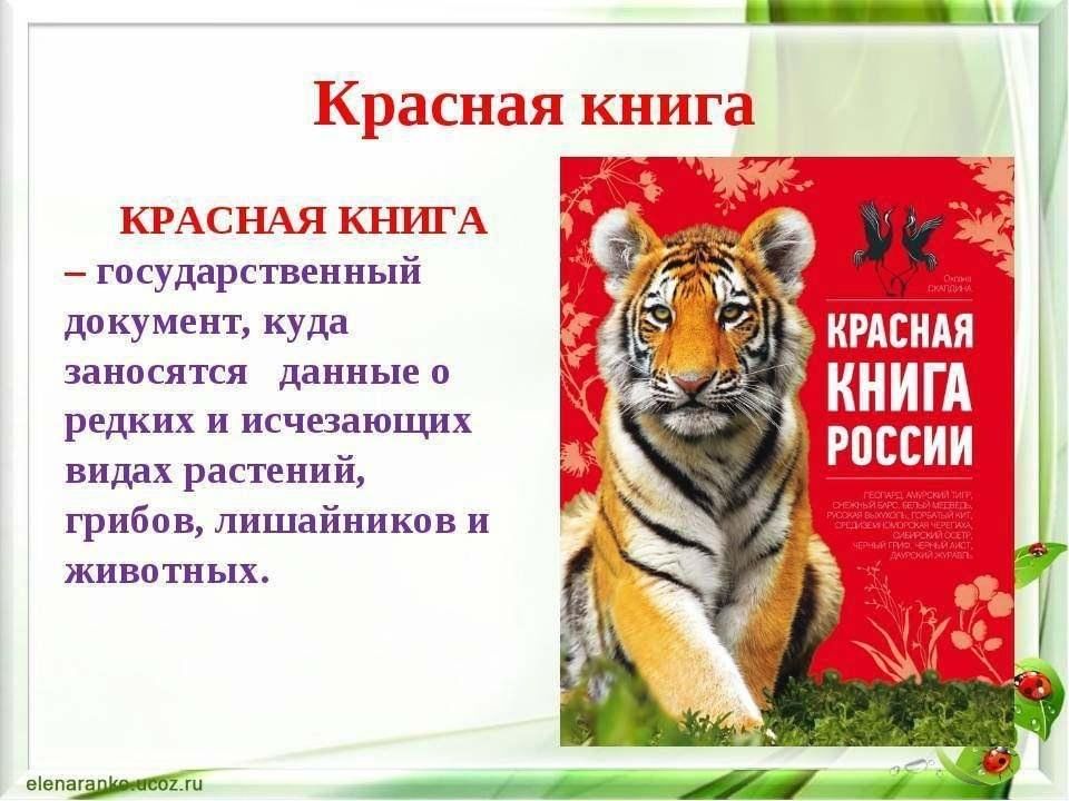 Среди многих представителей фауны, занесённых в связи с угрозой исчезновения в К