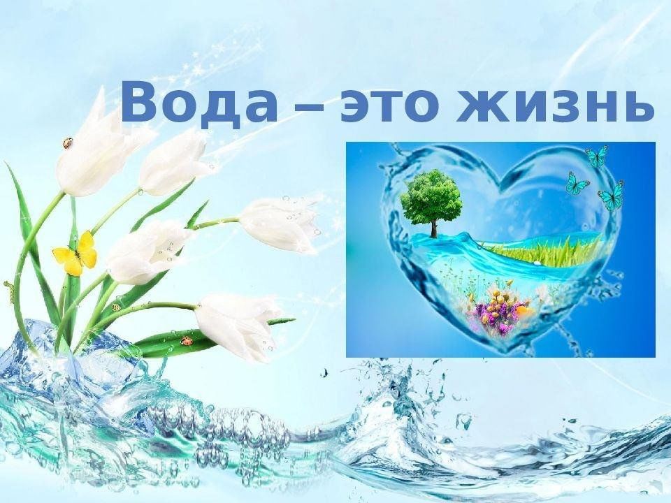 Вода это жизнь фото