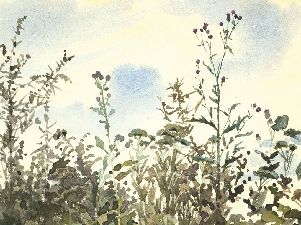 Елена Поленова. Татарник на фоне голубого неба. Ольшанка (фрагмент). Конец 1870–начало 1880-х. Государственный мемориальный историко-художественный и природный музей-заповедник В.Д. Поленова, Страхово, Тульская область