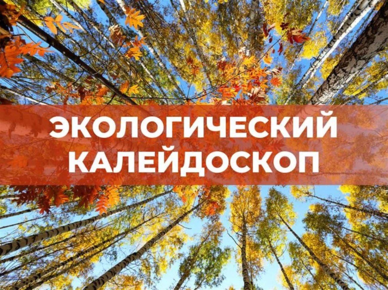 Экологический калейдоскоп картинки