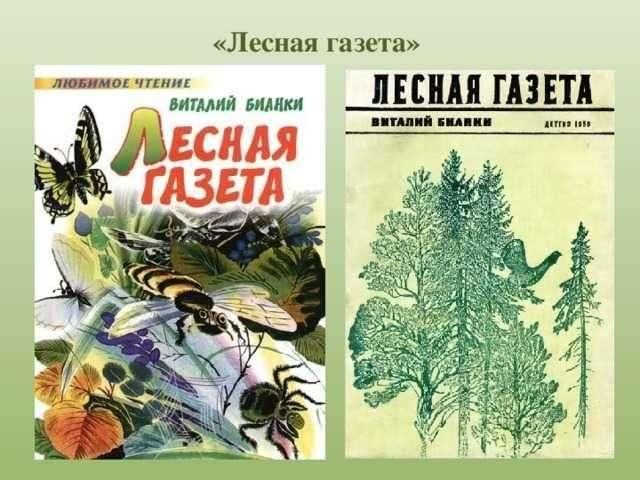 Лесная газета фото