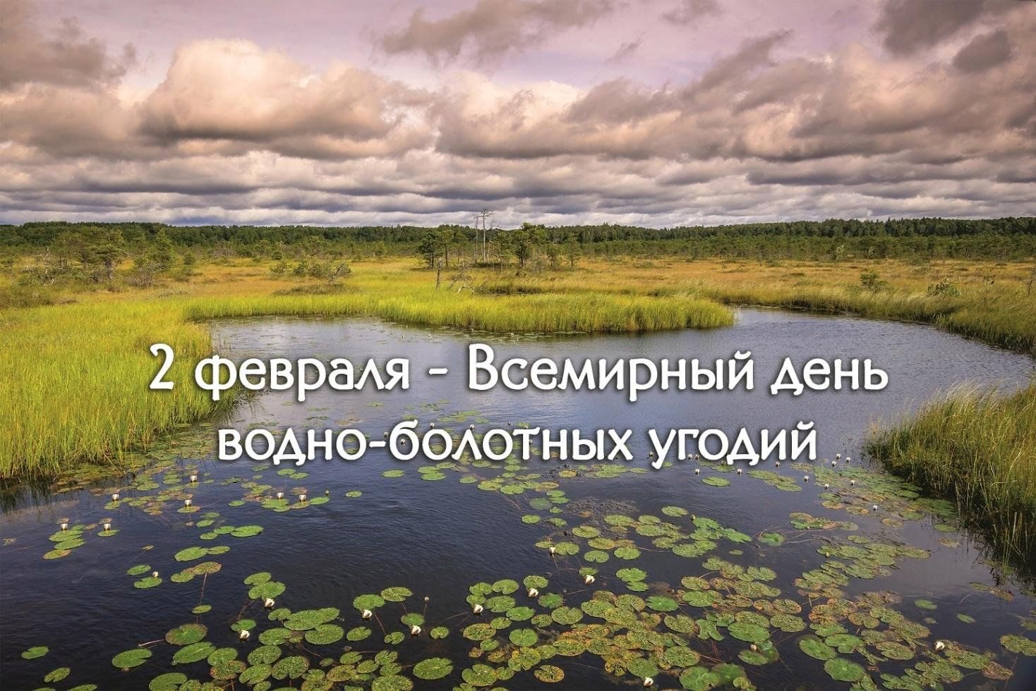 Эко-минутка «Что хорошего в болоте?» 2024, Давлекановский район — дата и  место проведения, программа мероприятия.