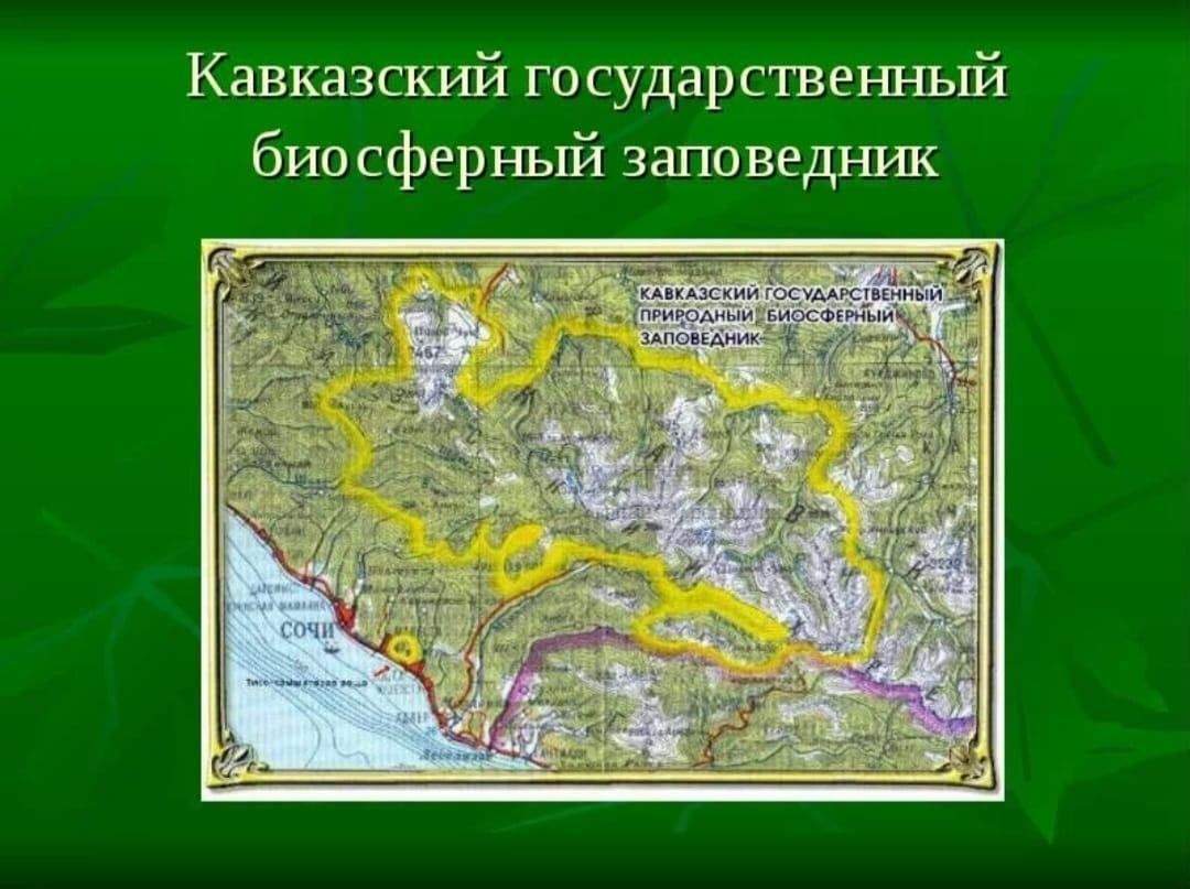Кавказский биосферный заповедник маршруты. Кавказский биосферный заповедник на карте Краснодарского края. Кавказский биосферный заповедник на карте. Кавказский биосферный заповедник территория на карте. Кавказский государственный природный биосферный заповедник на карте.