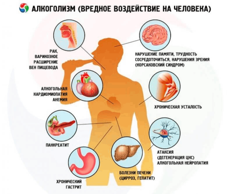 Влияние алкоголя на человека проект Последствия пагубной привычки 2022, Рязанский район - дата и место проведения, п