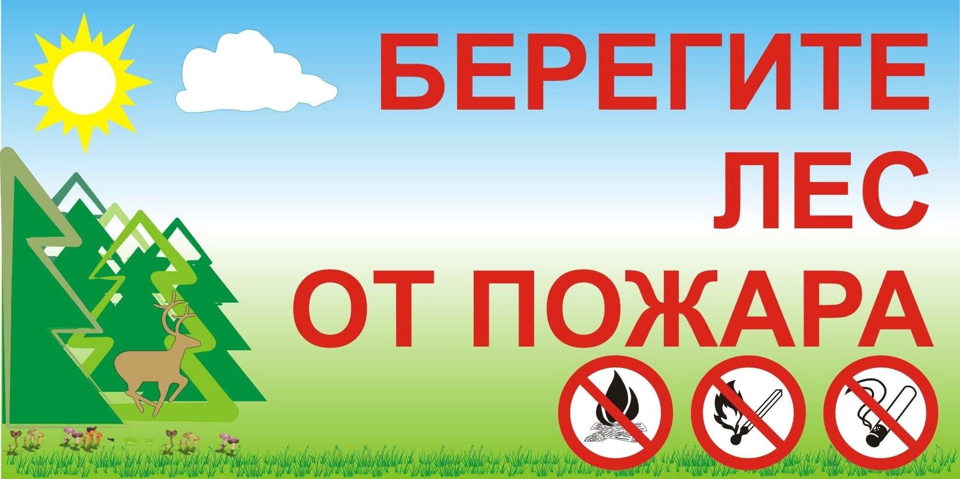 Берегите Лес От Огня Плакат