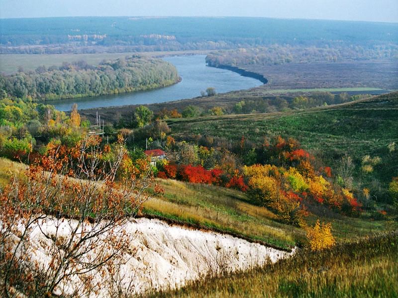 Каменный лес воронежская область хохольский район фото Наш край" 2020, Хохольский район - дата и место проведения, программа мероприяти