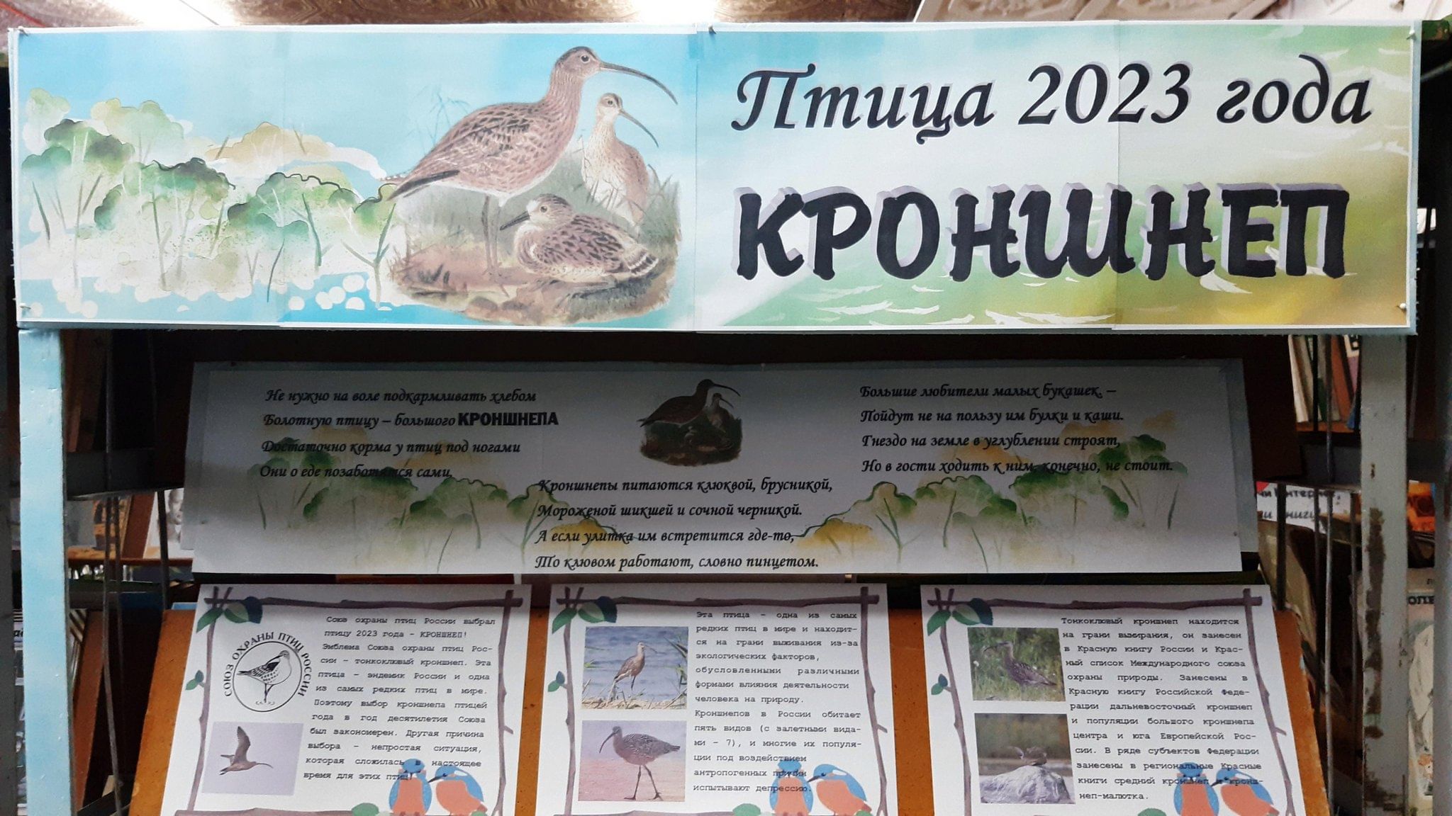 Конкурс птица 2023