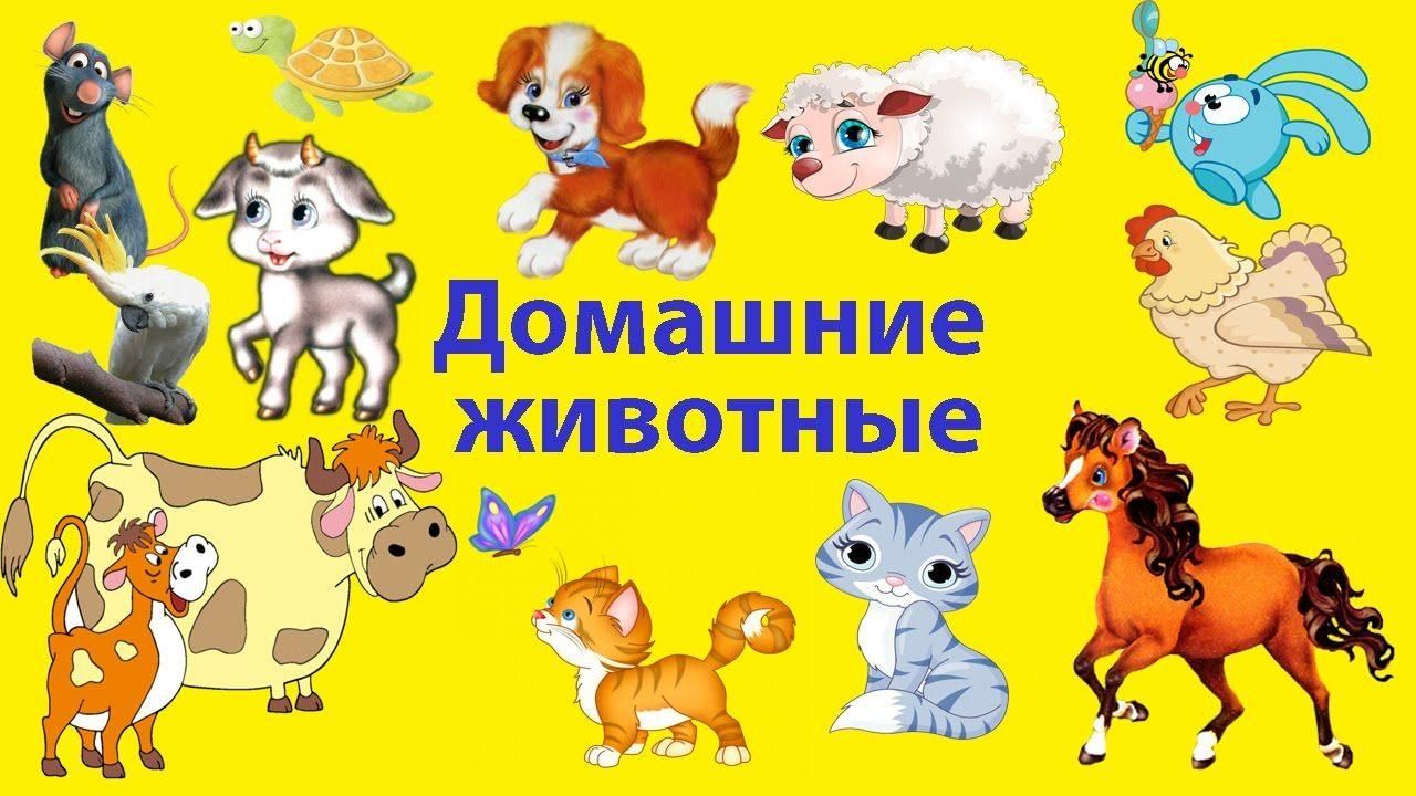 Презентация домашние животные и птицы для дошкольников