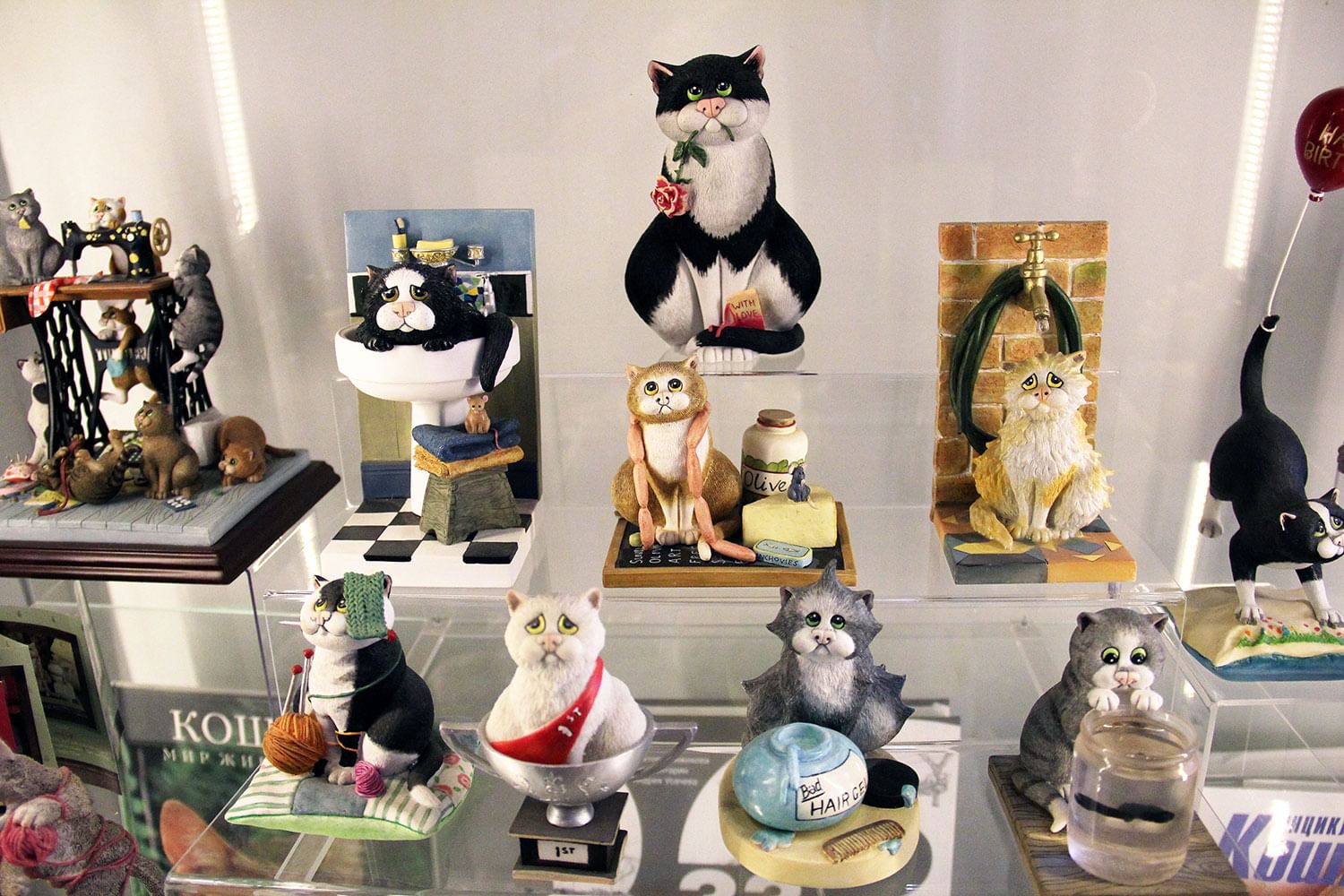 Cat museum. Кошкин дом музей Зеленоградск. Зеленоградск Кошкин музей. Музей кошек в Калининграде. Музей котиков Зеленоградск.