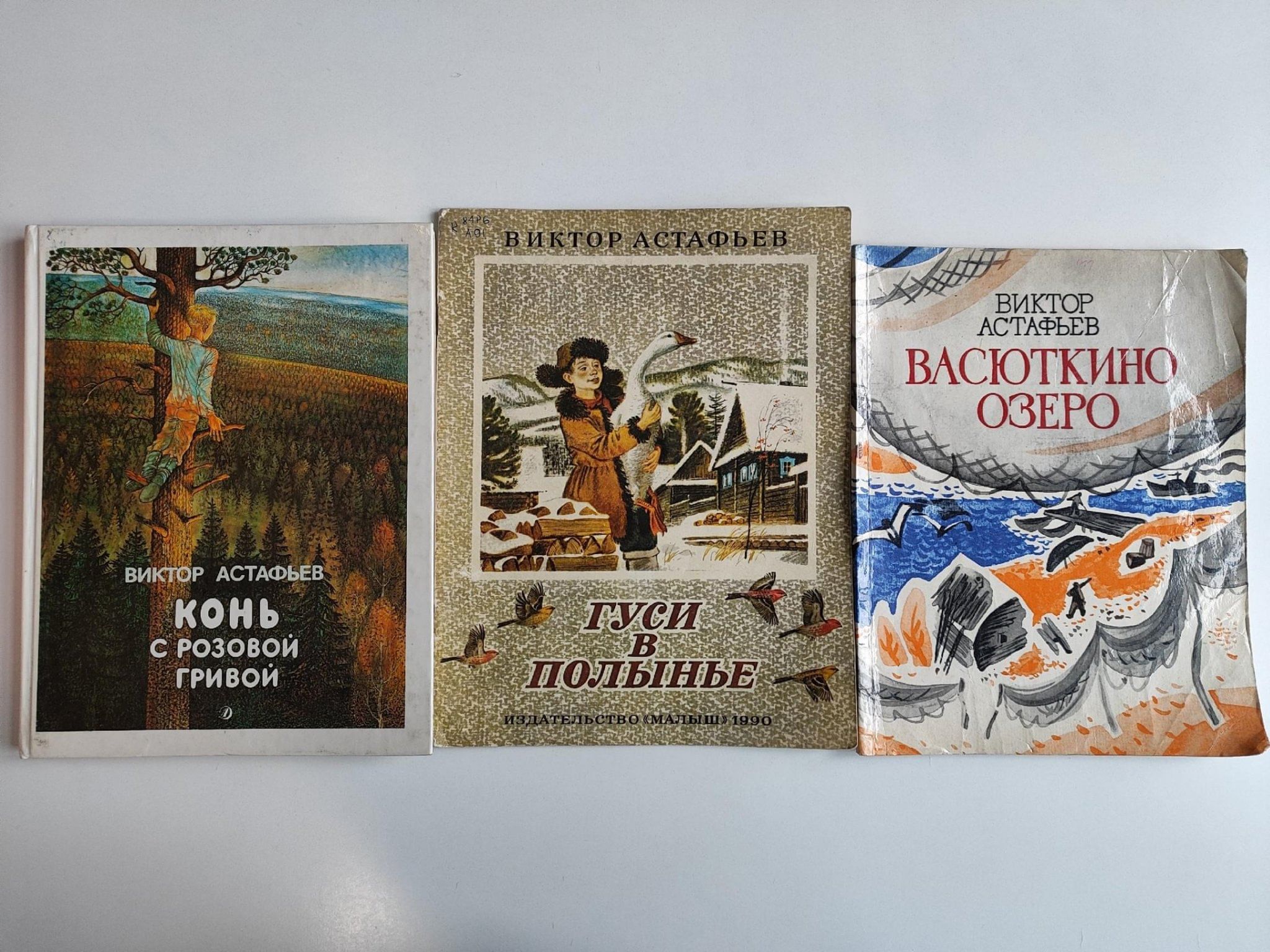 Литературный турнир по творчеству В.П. Астафьева «Светлая память детства»  2024, Красноярск — дата и место проведения, программа мероприятия.