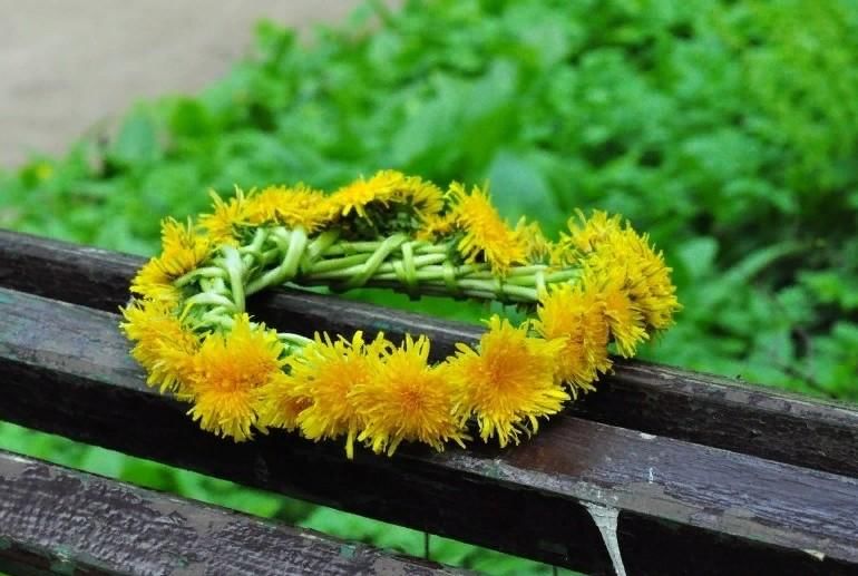 Фото в венке из одуванчиков