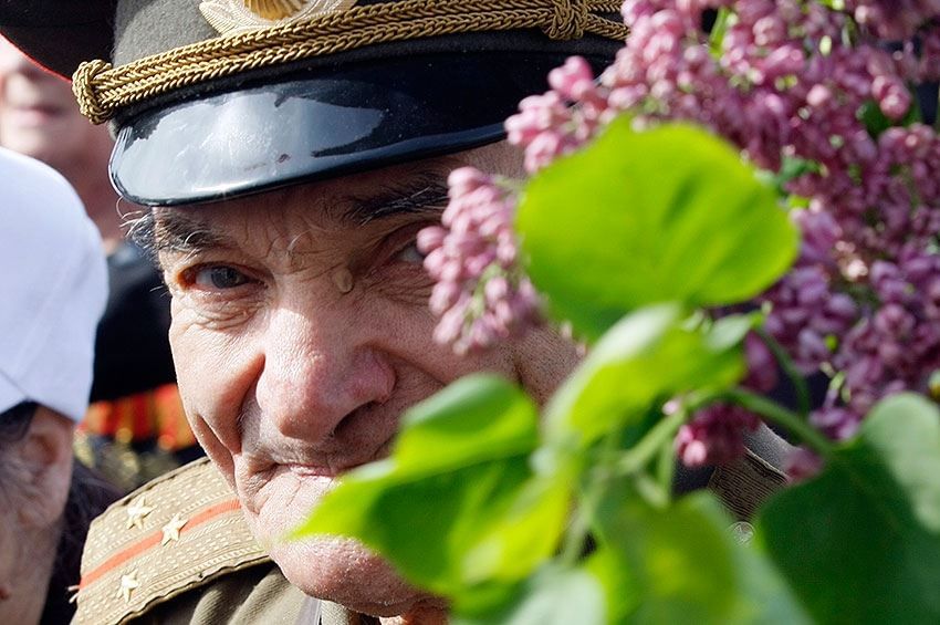 Цветущий победный май картинки